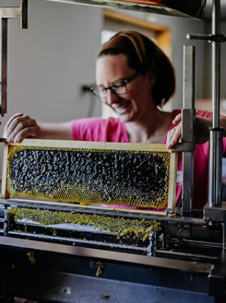 Miel de châtaignier produit en Dordogne par Claire l’Happycultrice