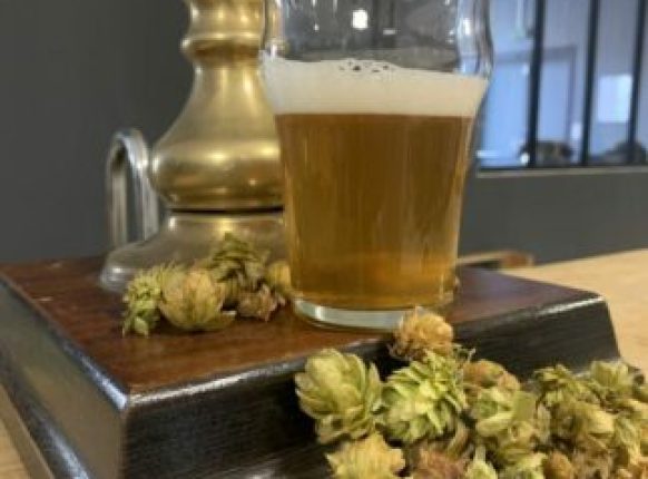 Verre de bière artisanale accompagné de houblon frais évoquant les ingrédients et le savoir faire du brassage